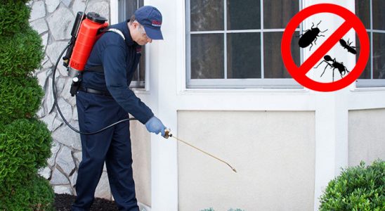 Pazarlar Dezenfeksiyon böcek ilaçlama ve haşere kontrolü — ilaclama-tr.com
